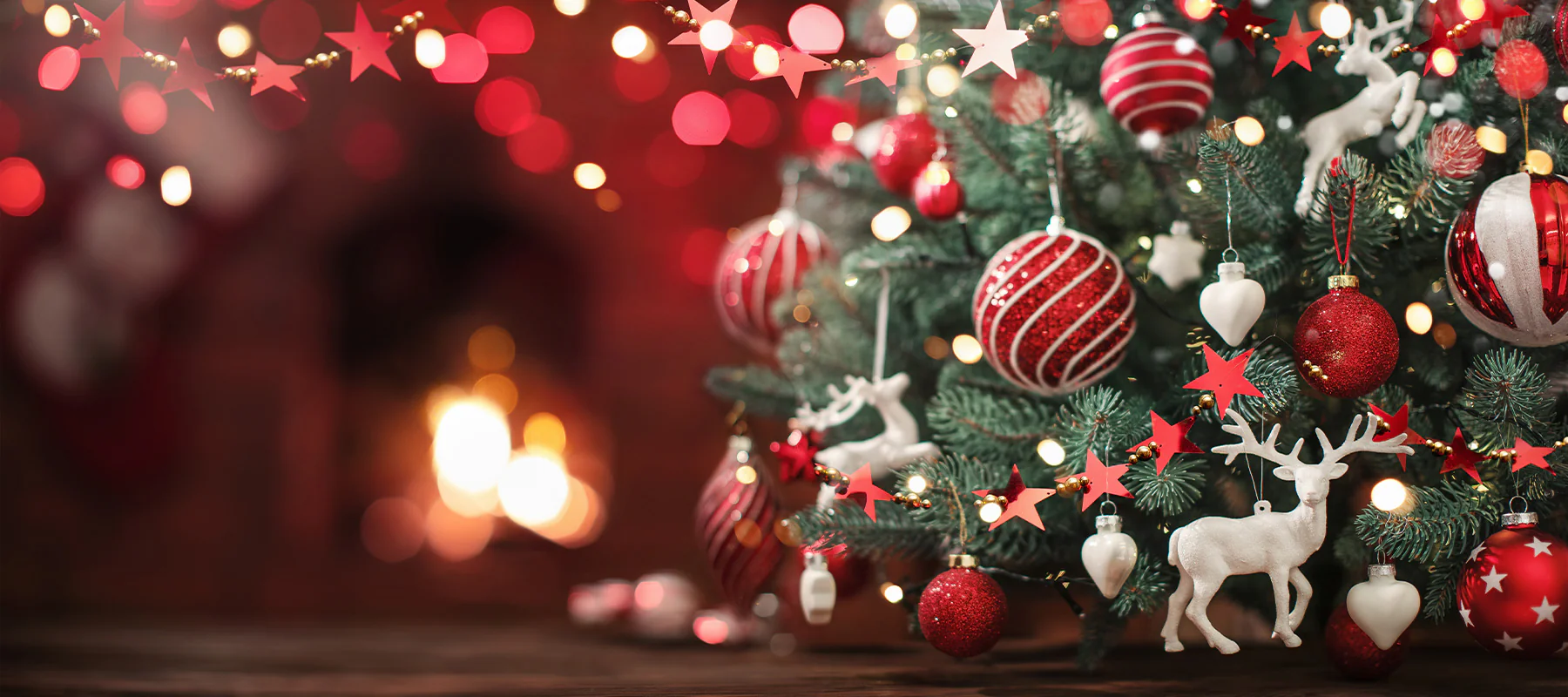 Front Page -Christmas Decorations shop 55