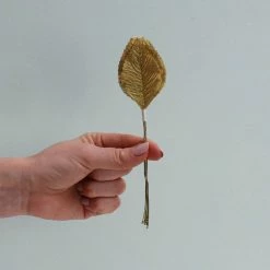 Hobbycraft Gold Wired Rose Leaves 12 Pack -Christmas Decorations shop 566844 1000 4 gold wired rose leaves 12 pack